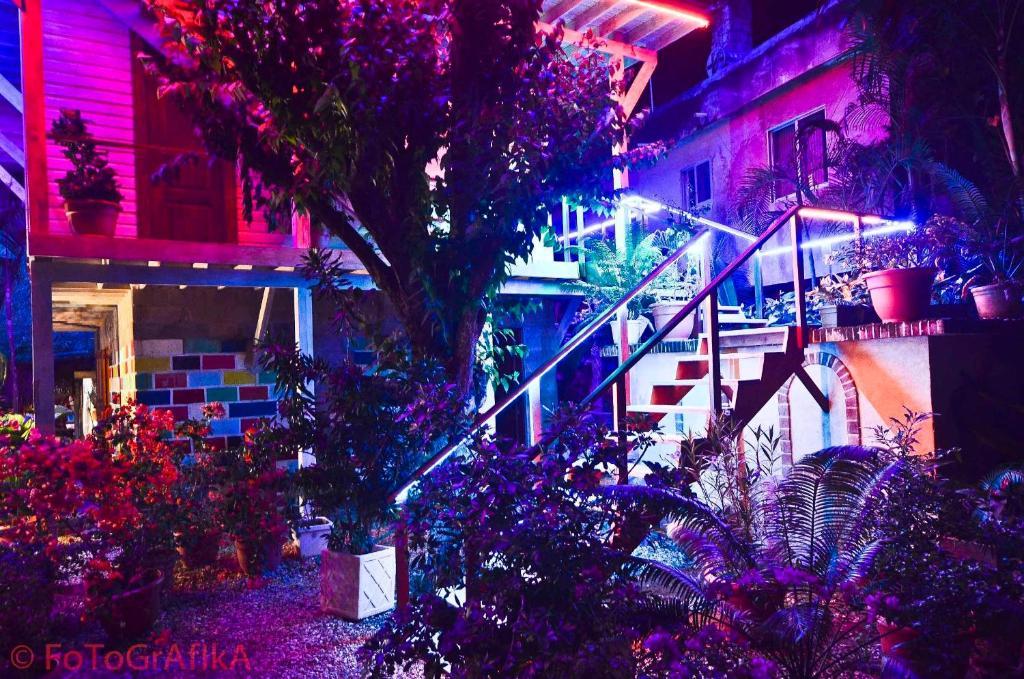 Cabarete Surf Camp Otel Dış mekan fotoğraf