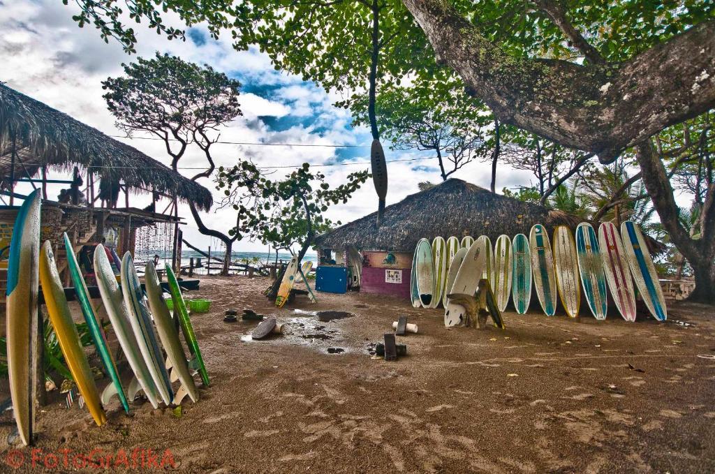 Cabarete Surf Camp Otel Dış mekan fotoğraf