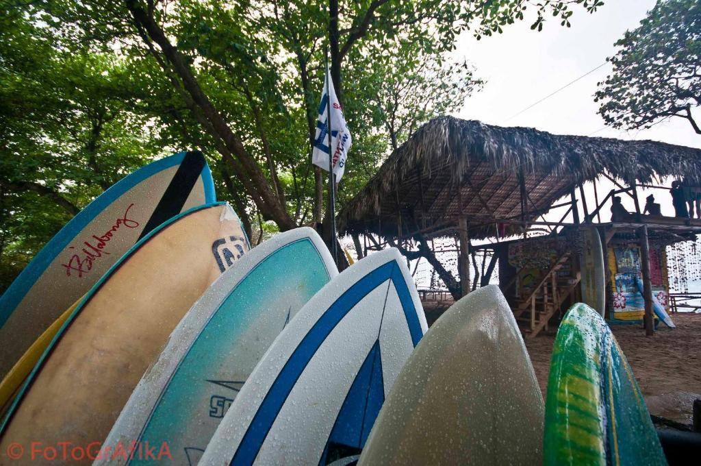 Cabarete Surf Camp Otel Dış mekan fotoğraf