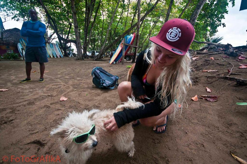 Cabarete Surf Camp Otel Dış mekan fotoğraf