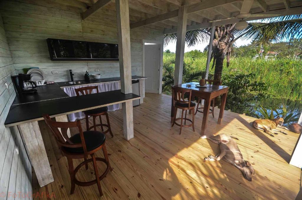 Cabarete Surf Camp Otel Dış mekan fotoğraf