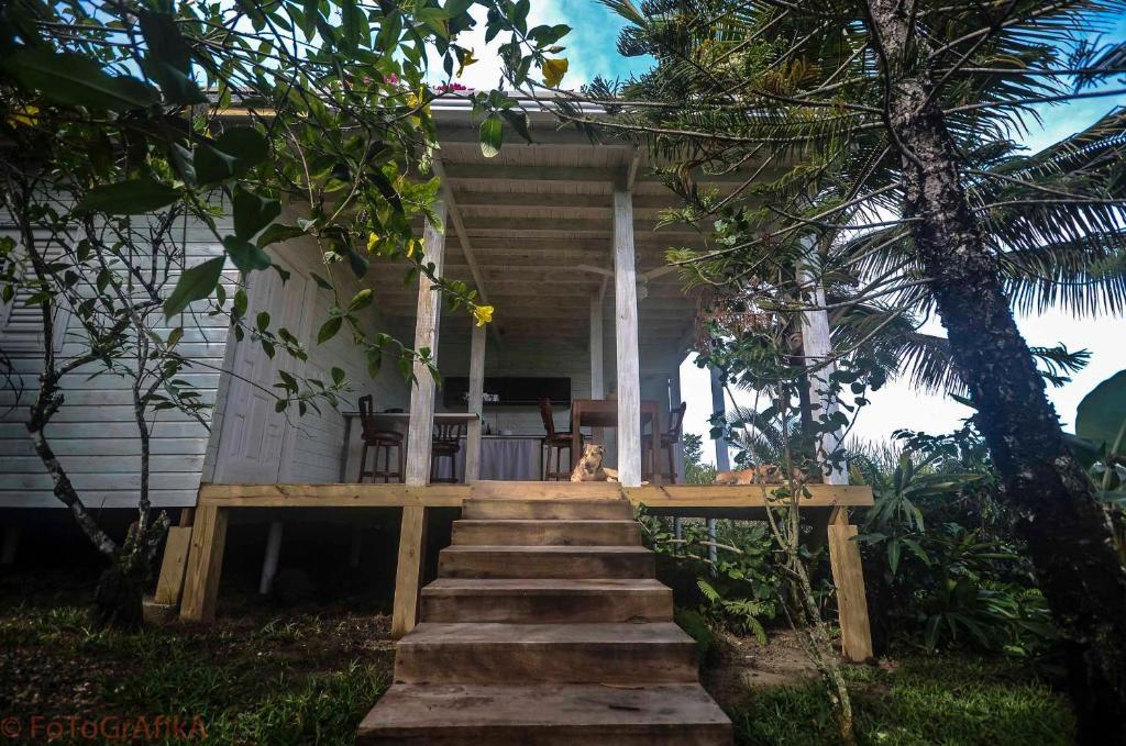 Cabarete Surf Camp Otel Dış mekan fotoğraf