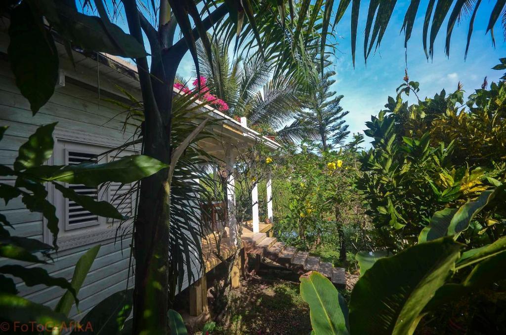 Cabarete Surf Camp Otel Dış mekan fotoğraf