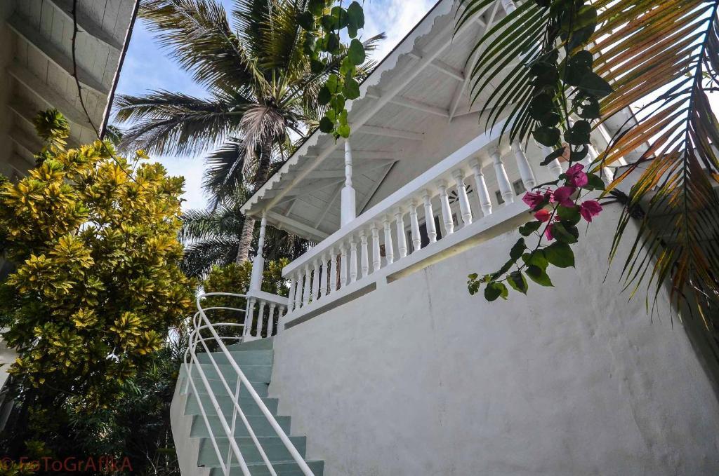 Cabarete Surf Camp Otel Dış mekan fotoğraf