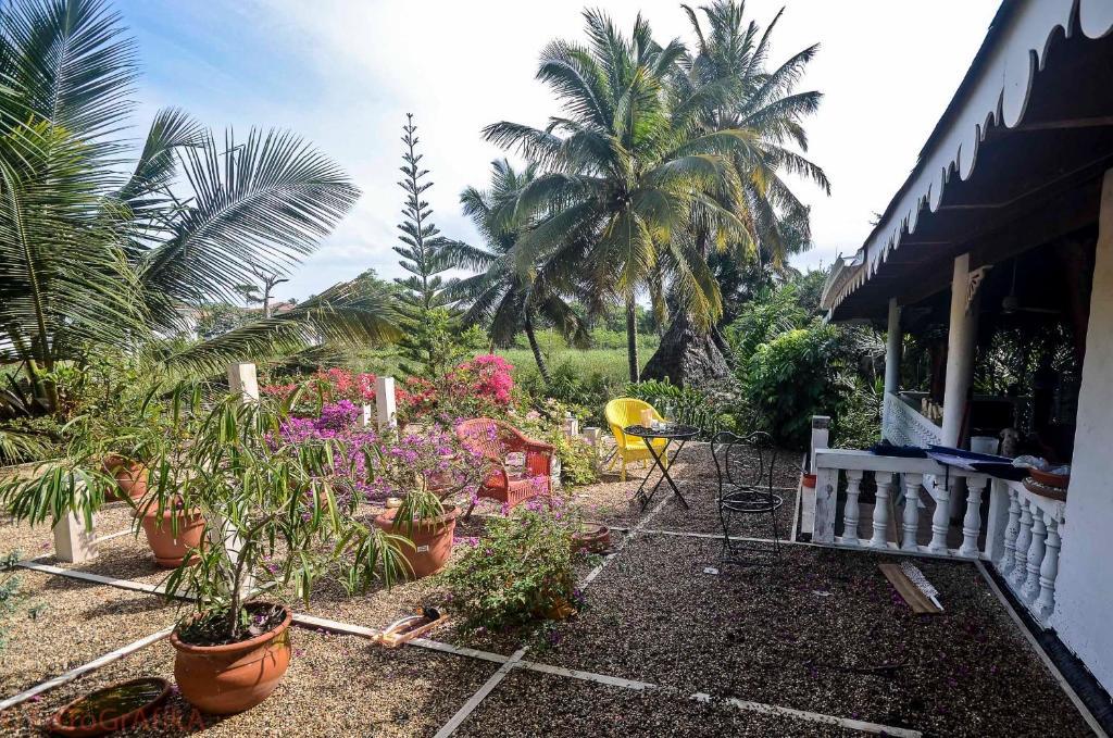 Cabarete Surf Camp Otel Dış mekan fotoğraf