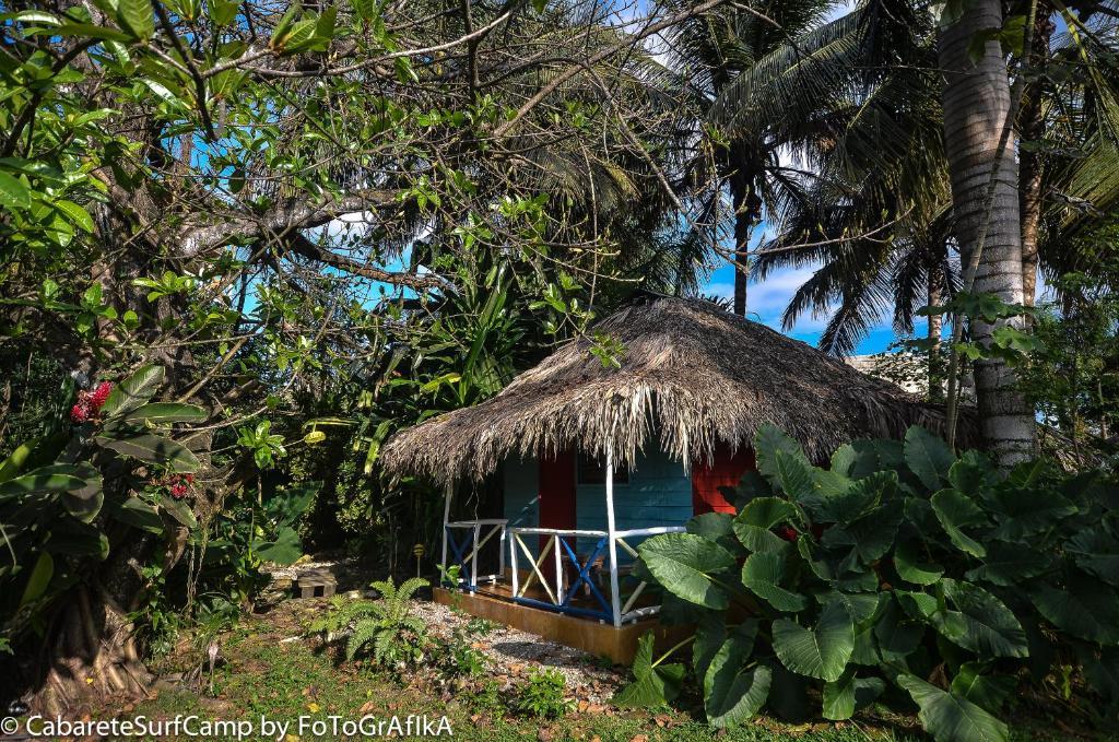 Cabarete Surf Camp Otel Dış mekan fotoğraf