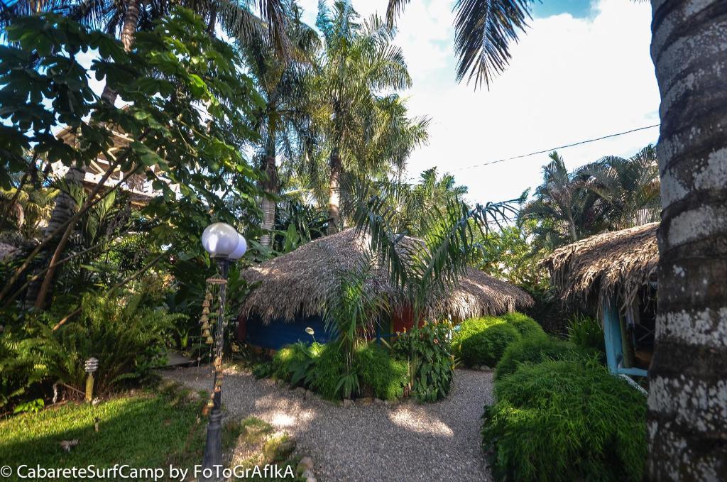 Cabarete Surf Camp Otel Dış mekan fotoğraf