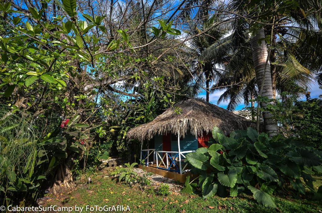 Cabarete Surf Camp Otel Dış mekan fotoğraf