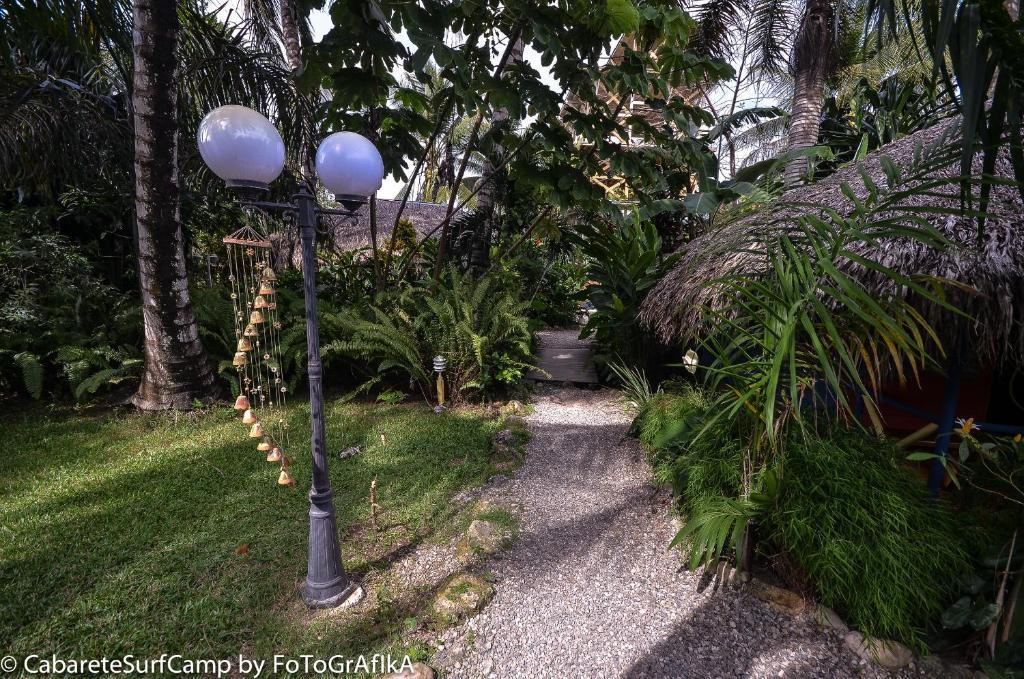 Cabarete Surf Camp Otel Dış mekan fotoğraf