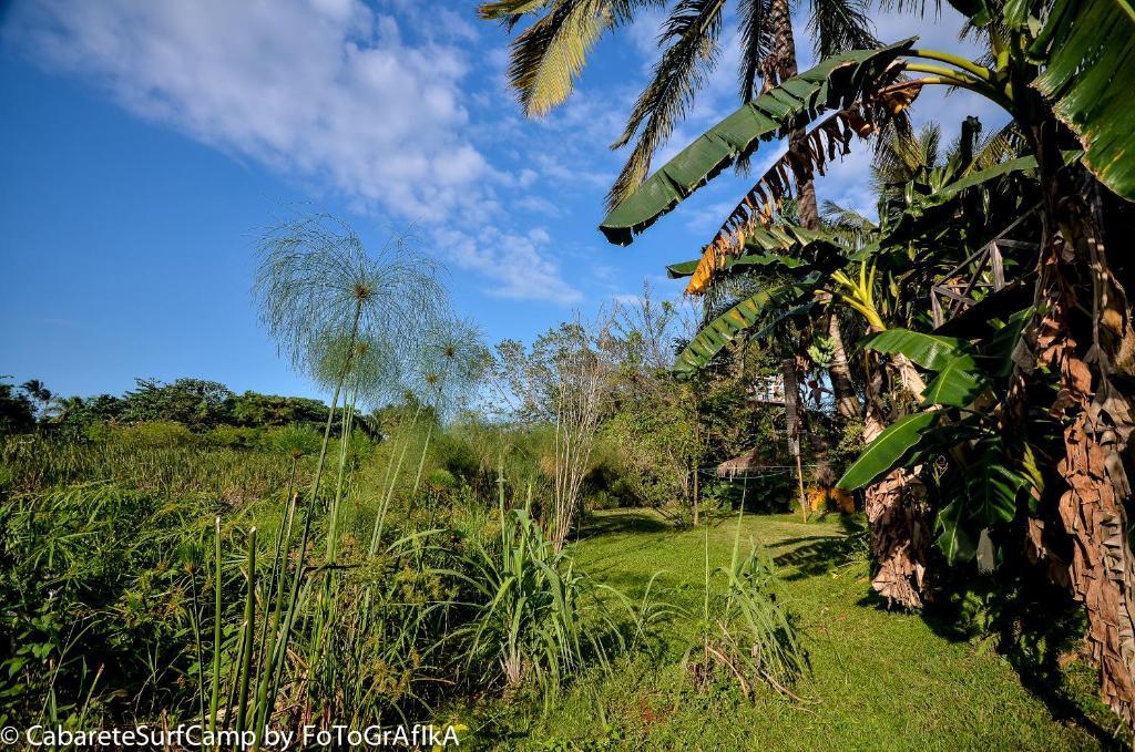 Cabarete Surf Camp Otel Dış mekan fotoğraf