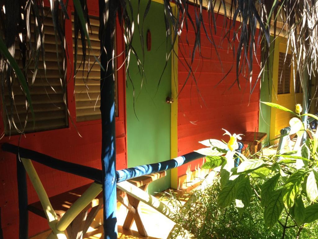 Cabarete Surf Camp Otel Dış mekan fotoğraf