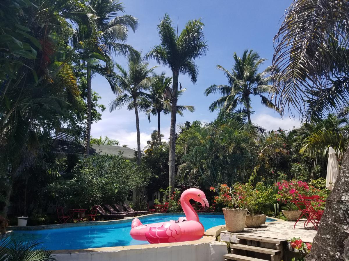 Cabarete Surf Camp Otel Dış mekan fotoğraf