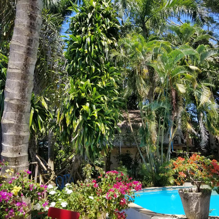 Cabarete Surf Camp Otel Dış mekan fotoğraf