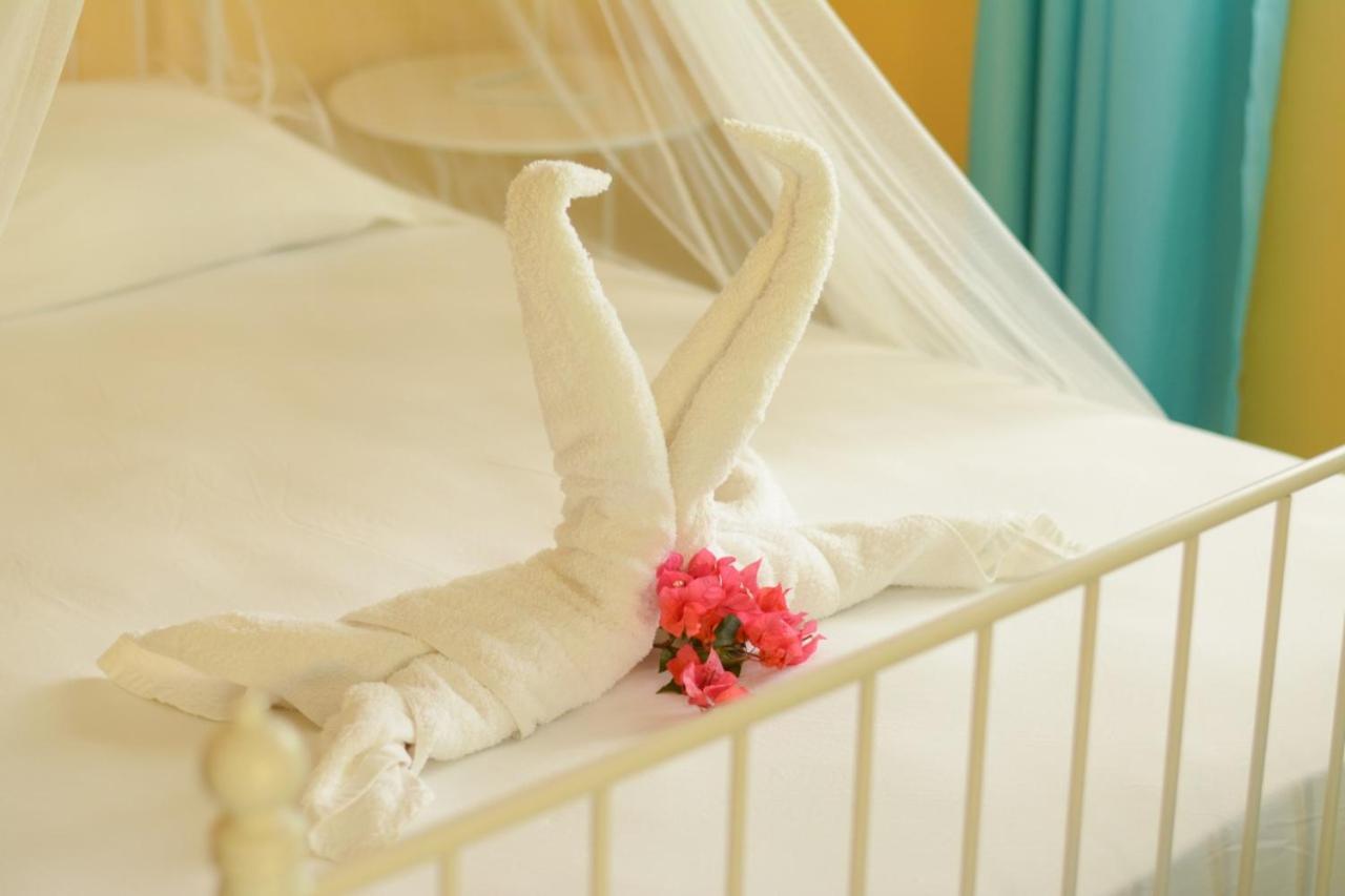 Cabarete Surf Camp Otel Dış mekan fotoğraf