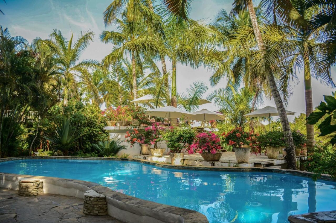Cabarete Surf Camp Otel Dış mekan fotoğraf