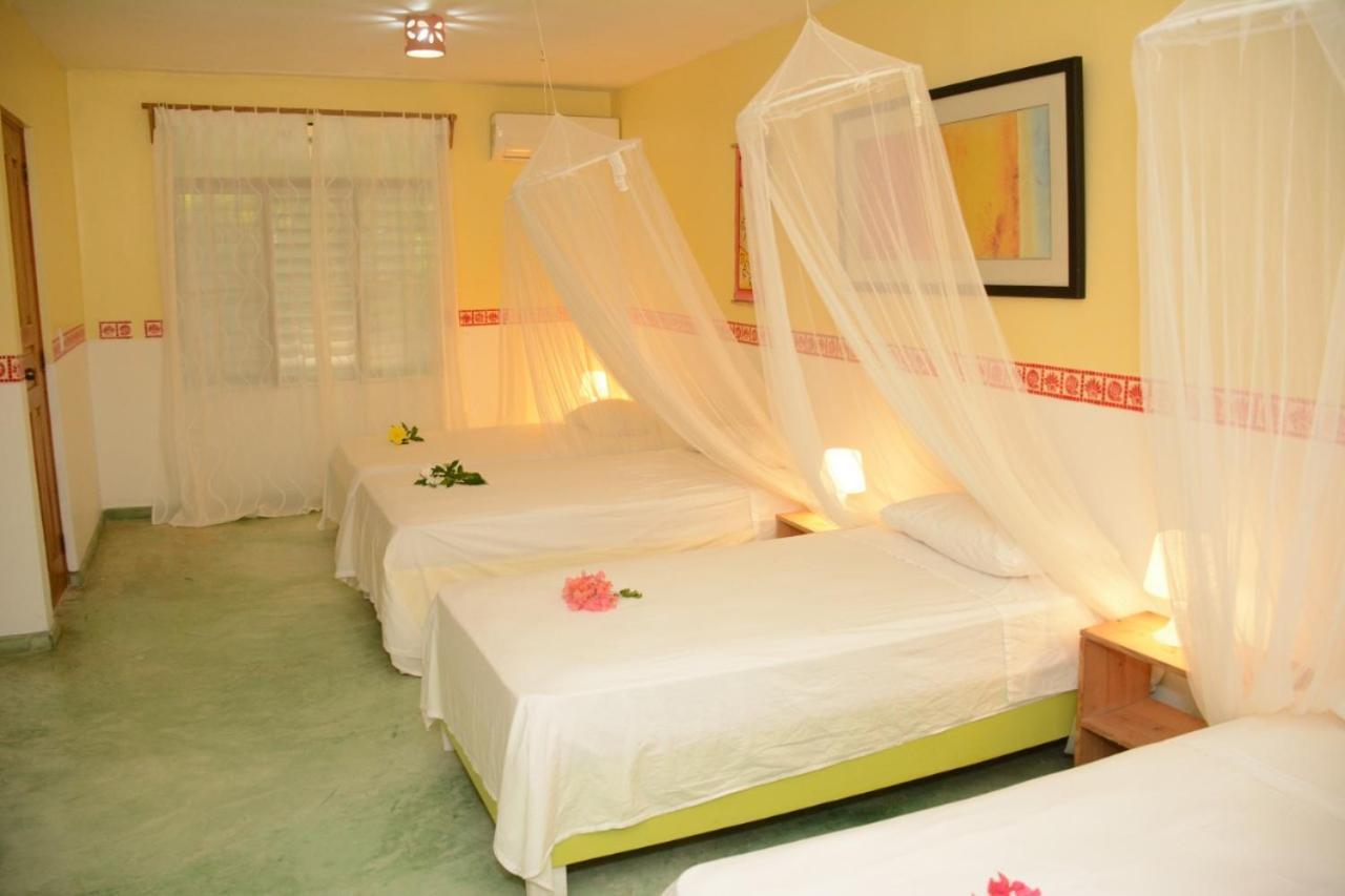 Cabarete Surf Camp Otel Dış mekan fotoğraf
